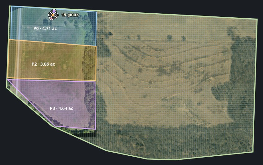 Live SAGE view of the Elm Spring research plot: drone imagery with paddocks P0 (4.71 acres), P2 (3.86 acres) and P3 (4.64 acres) and a herd of 19 goats